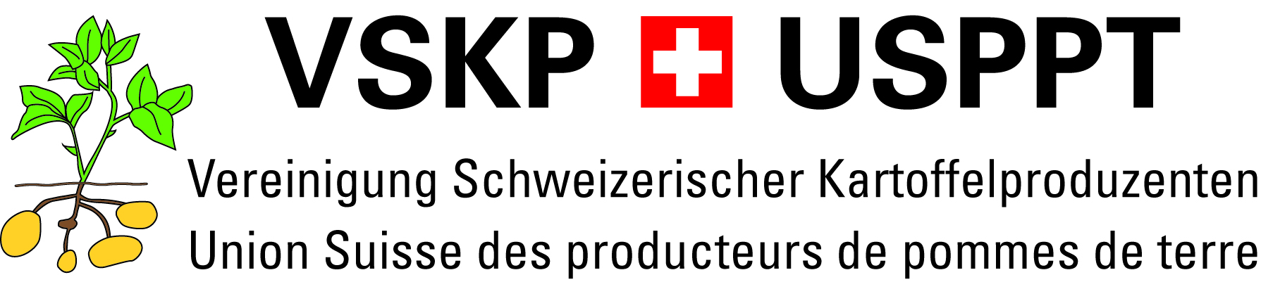 Logo VSKP png